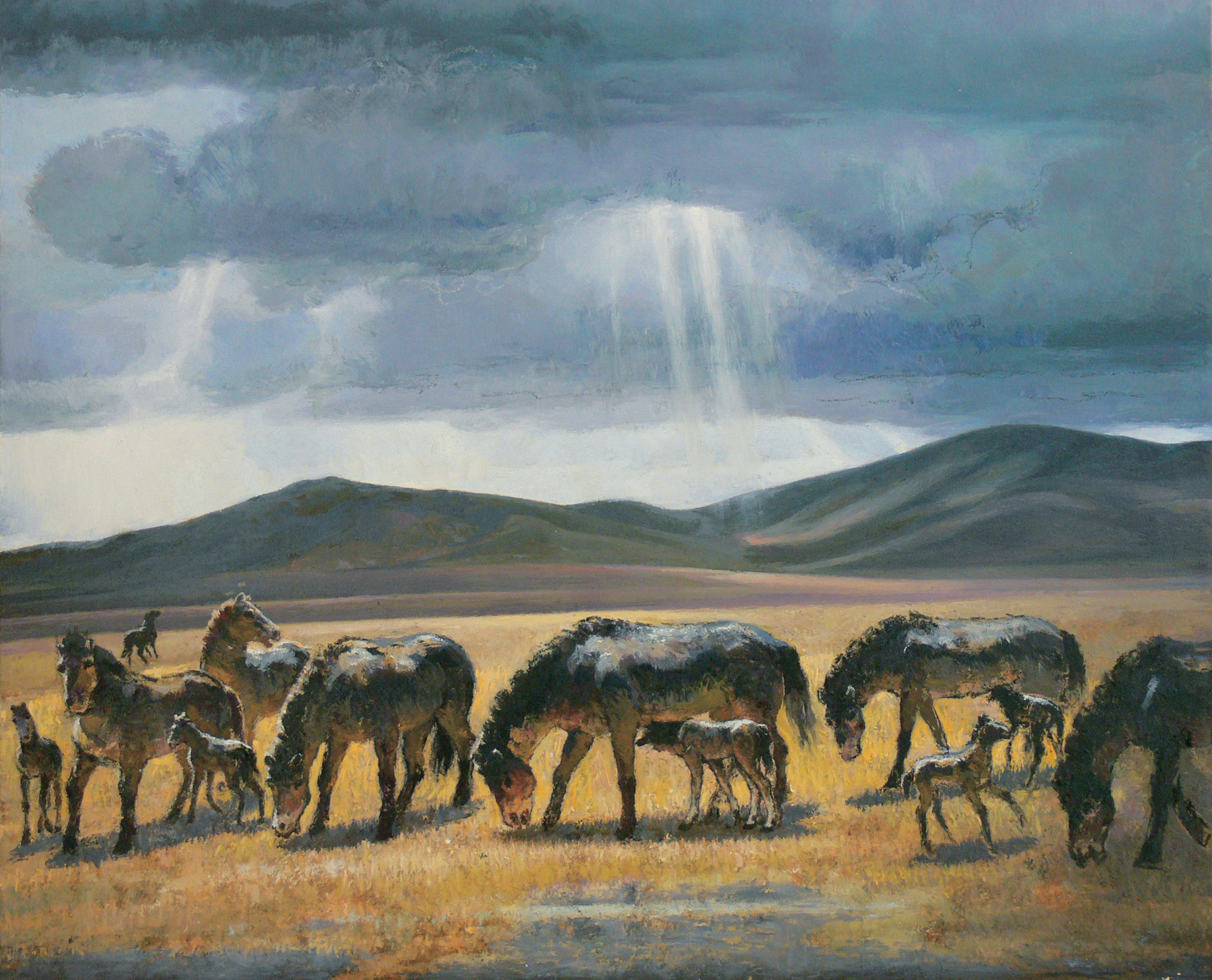 普氏野马回归故土